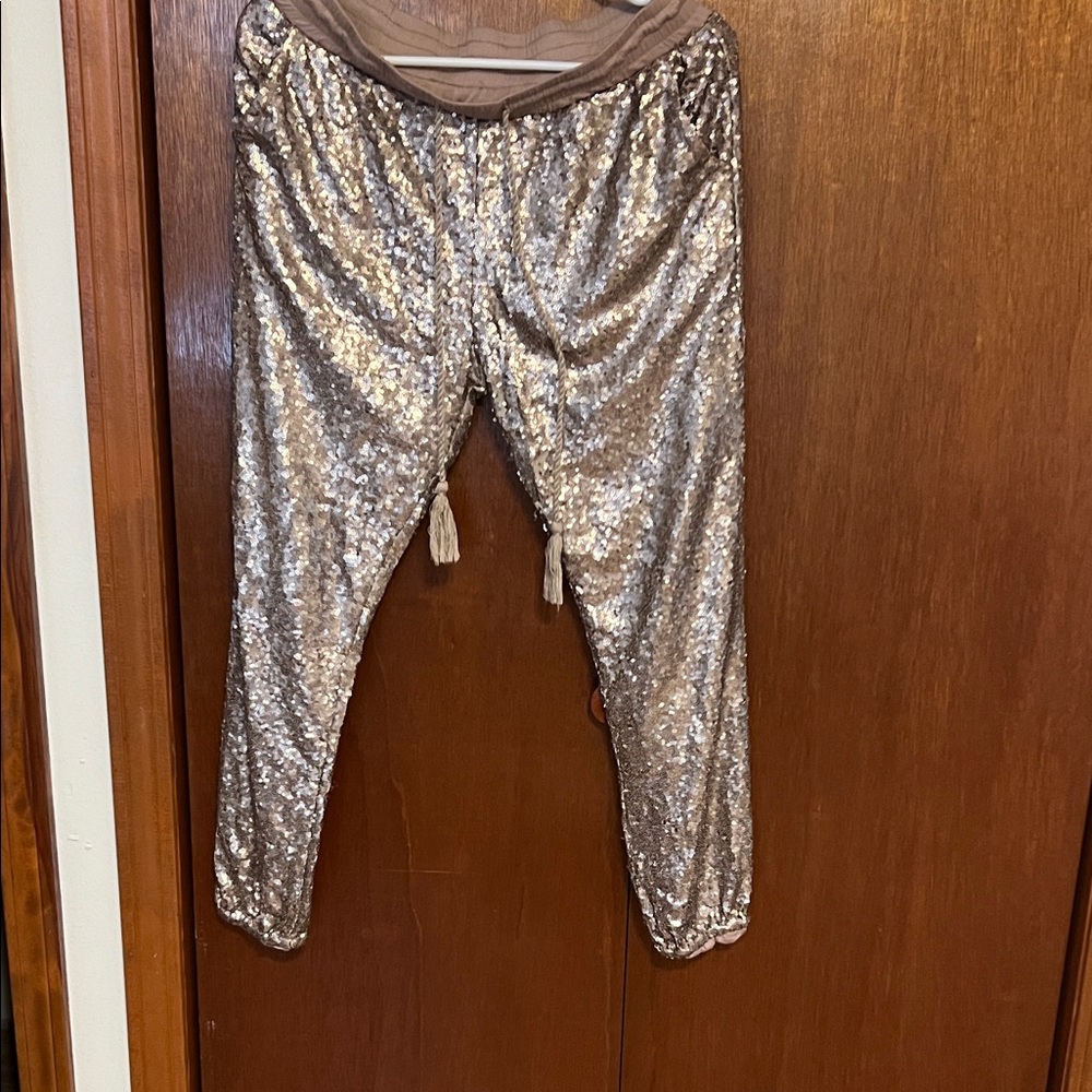 Source Unknown Women's Silver Sequin Cropped Pants - image 1